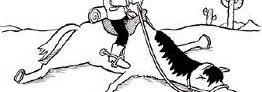 totes pferd-small